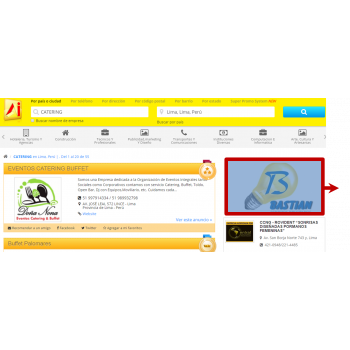 WINDOW BANNER WINDOW BANNER